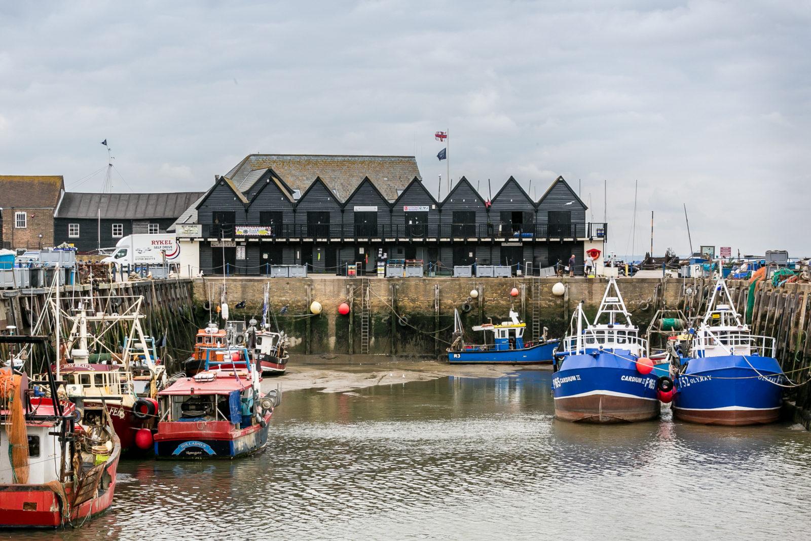 A Resident's Guide to: Whitstable​​​​‌﻿‍﻿​‍​‍‌‍﻿﻿‌﻿​‍‌‍‍‌‌‍‌﻿‌‍‍‌‌‍﻿‍​‍​‍​﻿‍‍​‍​‍‌﻿​﻿‌‍​‌‌‍﻿‍‌‍‍‌‌﻿‌​‌﻿‍‌​‍﻿‍‌‍‍‌‌‍﻿﻿​‍​‍​‍﻿​​‍​‍‌‍‍​‌﻿​‍‌‍‌‌‌‍‌‍​‍​‍​﻿‍‍​‍​‍​‍﻿﻿‌﻿​﻿‌﻿‌​‌﻿‌‌‌‍‌​‌‍‍‌‌‍﻿﻿​‍﻿﻿‌‍‍‌‌‍﻿‍‌﻿‌​‌‍‌‌‌‍﻿‍‌﻿‌​​‍﻿﻿‌‍‌‌‌‍‌​‌‍‍‌‌﻿‌​​‍﻿﻿‌‍﻿‌‌‍﻿﻿‌‍‌​‌‍‌‌​﻿﻿‌‌﻿​​‌﻿​‍‌‍‌‌‌﻿​﻿‌‍‌‌‌‍﻿‍‌﻿‌​‌‍​‌‌﻿‌​‌‍‍‌‌‍﻿﻿‌‍﻿‍​﻿‍﻿‌‍‍‌‌‍‌​​﻿﻿‌‌‍​‌‌﻿​‍‌‍‌‌‌‍​‌​‍﻿‌‌‍‌﻿‌﻿‌‌‌‍‍‌‌‍‌​‌‍‌‌​‍﻿‌‌﻿‌﻿‌‍‍​‌‍‍‌‌﻿‌​‌﻿​﻿‌﻿‌​‌‍​‌‌‍​‍‌‍﻿​‌‍‌‌​﻿‍﻿‌﻿‌​‌﻿‍‌‌﻿​​‌‍‌‌​﻿﻿‌‌﻿​‍‌‍‌‌‌﻿​﻿‌‍‍‌‌‍‌​‌‍‌‌‌‍﻿‍‌﻿‌​‌﻿​﻿‌​‌﻿‌﻿‌‌‌‍‍‌‌‍‌​‌‍‌‌​﻿‍﻿‌﻿​​‌‍​‌‌﻿‌​‌‍‍​​﻿﻿‌‌﻿‌​‌‍‍‌‌﻿‌​‌‍﻿​‌‍‌‌​﻿﻿﻿‌‍​‍‌‍​‌‌﻿​﻿‌‍‌‌‌‌‌‌‌﻿​‍‌‍﻿​​﻿﻿‌​‍‌‌​﻿​‍‌​‌‍‌﻿​﻿‌﻿‌​‌﻿‌‌‌‍‌​‌‍‍‌‌‍﻿﻿​‍‌‍‌‍‍‌‌‍‌​​﻿﻿‌‌‍​‌‌﻿​‍‌‍‌‌‌‍​‌​‍﻿‌‌‍‌﻿‌﻿‌‌‌‍‍‌‌‍‌​‌‍‌‌​‍﻿‌‌﻿‌﻿‌‍‍​‌‍‍‌‌﻿‌​‌﻿​﻿‌﻿‌​‌‍​‌‌‍​‍‌‍﻿​‌‍‌‌​‍‌‍‌﻿‌​‌﻿‍‌‌﻿​​‌‍‌‌​﻿﻿‌‌﻿​‍‌‍‌‌‌﻿​﻿‌‍‍‌‌‍‌​‌‍‌‌‌‍﻿‍‌﻿‌​‌﻿​﻿‌​‌﻿‌﻿‌‌‌‍‍‌‌‍‌​‌‍‌‌​‍‌‍‌﻿​​‌‍​‌‌﻿‌​‌‍‍​​﻿﻿‌‌﻿‌​‌‍‍‌‌﻿‌​‌‍﻿​‌‍‌‌​‍​‍‌﻿﻿‌