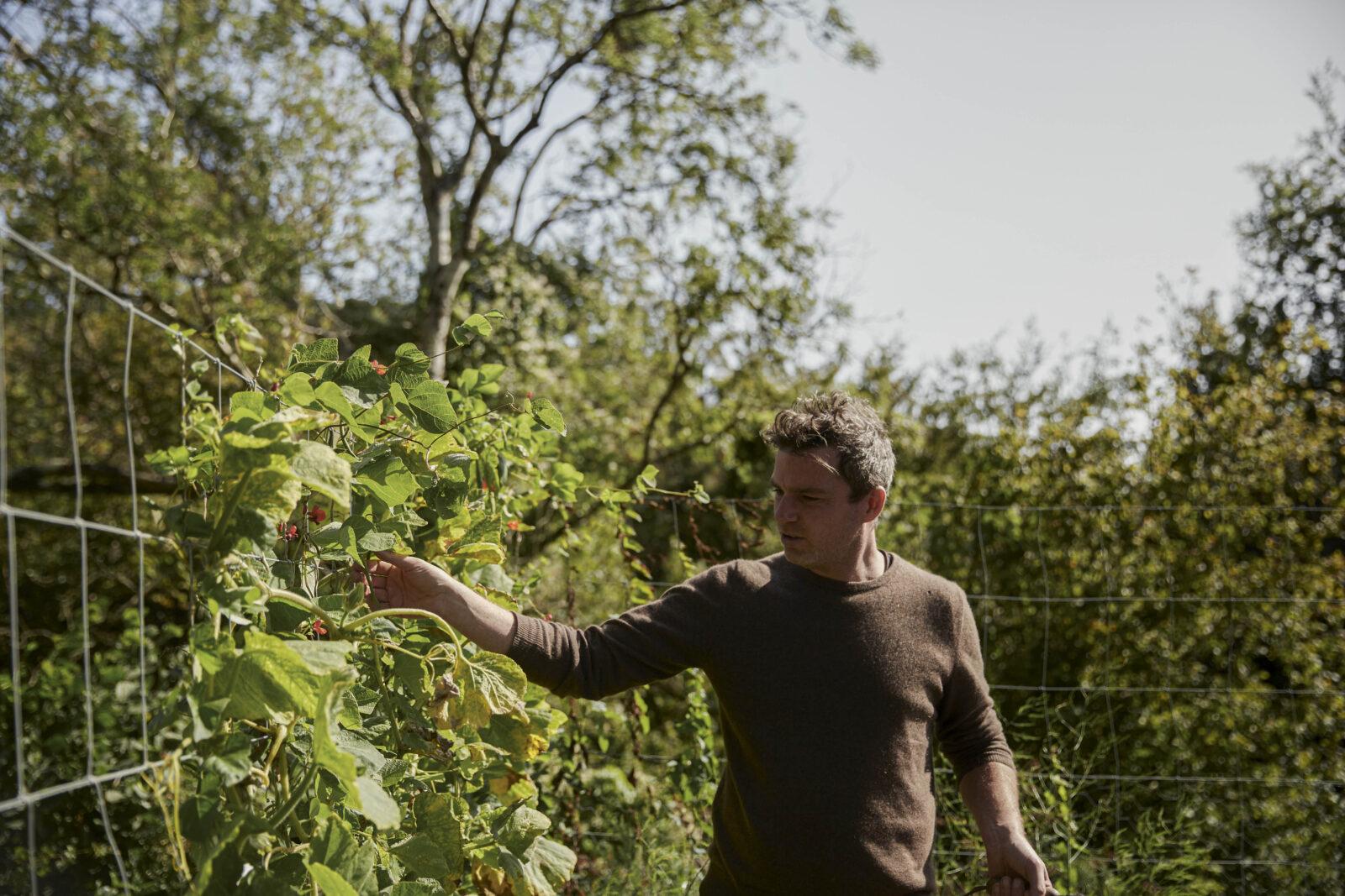 Gill Meller on the specific pleasure of a seasonal tomato at his sea-facing house in Devon​​​​‌﻿‍﻿​‍​‍‌‍﻿﻿‌﻿​‍‌‍‍‌‌‍‌﻿‌‍‍‌‌‍﻿‍​‍​‍​﻿‍‍​‍​‍‌﻿​﻿‌‍​‌‌‍﻿‍‌‍‍‌‌﻿‌​‌﻿‍‌​‍﻿‍‌‍‍‌‌‍﻿﻿​‍​‍​‍﻿​​‍​‍‌‍‍​‌﻿​‍‌‍‌‌‌‍‌‍​‍​‍​﻿‍‍​‍​‍​‍﻿﻿‌﻿​﻿‌﻿‌​‌﻿‌‌‌‍‌​‌‍‍‌‌‍﻿﻿​‍﻿﻿‌‍‍‌‌‍﻿‍‌﻿‌​‌‍‌‌‌‍﻿‍‌﻿‌​​‍﻿﻿‌‍‌‌‌‍‌​‌‍‍‌‌﻿‌​​‍﻿﻿‌‍﻿‌‌‍﻿﻿‌‍‌​‌‍‌‌​﻿﻿‌‌﻿​​‌﻿​‍‌‍‌‌‌﻿​﻿‌‍‌‌‌‍﻿‍‌﻿‌​‌‍​‌‌﻿‌​‌‍‍‌‌‍﻿﻿‌‍﻿‍​﻿‍﻿‌‍‍‌‌‍‌​​﻿﻿‌‌‍‌﻿‌‍‍‌‌‍﻿​‌‍﻿​​‍﻿‌‌‍﻿‌‌‍‌‌‌‍﻿​‌‍﻿​‌‍‌‌‌﻿​‍​‍﻿‌‌﻿‌​‌‍﻿﻿‌‍﻿‌‌‍​‌‌﻿‌​‌‍﻿﻿​‍﻿‌‌‍​‍‌﻿​‍‌﻿‌‌‌﻿​﻿‌‍​﻿‌‍‍​‌‍‌‌‌﻿‌​‌﻿‌​‌‍​‌​‍﻿‌‌‍﻿‌‌‍﻿﻿‌‍‌​‌‍‌‌‌﻿​‍‌‍﻿‍​‍﻿‌‌‍﻿‌‌‍‌‌‌‍﻿‍‌﻿‌‌​﻿‍﻿‌﻿‌​‌﻿‍‌‌﻿​​‌‍‌‌​﻿﻿‌‌‍﻿​‌‍﻿﻿‌‍﻿‍‌‍‌﻿‌​‌‍‌‍﻿﻿‌﻿​‍‌‍﻿‌​﻿‍﻿‌﻿​​‌‍​‌‌﻿‌​‌‍‍​​﻿﻿‌‌﻿‌​‌‍‍‌‌﻿‌​‌‍﻿​‌‍‌‌​﻿﻿﻿‌‍​‍‌‍​‌‌﻿​﻿‌‍‌‌‌‌‌‌‌﻿​‍‌‍﻿​​﻿﻿‌​‍‌‌​﻿​‍‌​‌‍‌﻿​﻿‌﻿‌​‌﻿‌‌‌‍‌​‌‍‍‌‌‍﻿﻿​‍‌‍‌‍‍‌‌‍‌​​﻿﻿‌‌‍‌﻿‌‍‍‌‌‍﻿​‌‍﻿​​‍﻿‌‌‍﻿‌‌‍‌‌‌‍﻿​‌‍﻿​‌‍‌‌‌﻿​‍​‍﻿‌‌﻿‌​‌‍﻿﻿‌‍﻿‌‌‍​‌‌﻿‌​‌‍﻿﻿​‍﻿‌‌‍​‍‌﻿​‍‌﻿‌‌‌﻿​﻿‌‍​﻿‌‍‍​‌‍‌‌‌﻿‌​‌﻿‌​‌‍​‌​‍﻿‌‌‍﻿‌‌‍﻿﻿‌‍‌​‌‍‌‌‌﻿​‍‌‍﻿‍​‍﻿‌‌‍﻿‌‌‍‌‌‌‍﻿‍‌﻿‌‌​‍‌‍‌﻿‌​‌﻿‍‌‌﻿​​‌‍‌‌​﻿﻿‌‌‍﻿​‌‍﻿﻿‌‍﻿‍‌‍‌﻿‌​‌‍‌‍﻿﻿‌﻿​‍‌‍﻿‌​‍‌‍‌﻿​​‌‍​‌‌﻿‌​‌‍‍​​﻿﻿‌‌﻿‌​‌‍‍‌‌﻿‌​‌‍﻿​‌‍‌‌​‍​‍‌﻿﻿‌