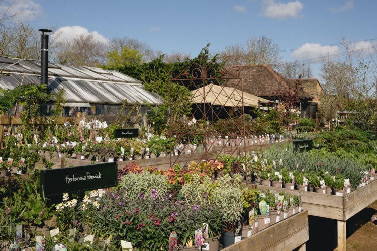 Best Buds: the most beautiful garden centres in London​​​​‌﻿‍﻿​‍​‍‌‍﻿﻿‌﻿​‍‌‍‍‌‌‍‌﻿‌‍‍‌‌‍﻿‍​‍​‍​﻿‍‍​‍​‍‌﻿​﻿‌‍​‌‌‍﻿‍‌‍‍‌‌﻿‌​‌﻿‍‌​‍﻿‍‌‍‍‌‌‍﻿﻿​‍​‍​‍﻿​​‍​‍‌‍‍​‌﻿​‍‌‍‌‌‌‍‌‍​‍​‍​﻿‍‍​‍​‍​‍﻿﻿‌﻿​﻿‌﻿‌​‌﻿‌‌‌‍‌​‌‍‍‌‌‍﻿﻿​‍﻿﻿‌‍‍‌‌‍﻿‍‌﻿‌​‌‍‌‌‌‍﻿‍‌﻿‌​​‍﻿﻿‌‍‌‌‌‍‌​‌‍‍‌‌﻿‌​​‍﻿﻿‌‍﻿‌‌‍﻿﻿‌‍‌​‌‍‌‌​﻿﻿‌‌﻿​​‌﻿​‍‌‍‌‌‌﻿​﻿‌‍‌‌‌‍﻿‍‌﻿‌​‌‍​‌‌﻿‌​‌‍‍‌‌‍﻿﻿‌‍﻿‍​﻿‍﻿‌‍‍‌‌‍‌​​﻿﻿‌‌﻿​‍‌‍‌‌‌﻿​﻿‌‍‍‌‌‍‌​‌‍‌‌‌‍﻿‍‌﻿‌​‌﻿​﻿​‍﻿‌‌‍‌﻿‌﻿‌‌‌‍‍‌‌‍‌​‌‍‌‌​‍﻿‌‌‍‌﻿‌‍​‌‌﻿​‍‌‍‌​‌‍‌‌‌‍﻿‍​‍﻿‌‌‍​﻿‌‍‌‌‌‍﻿‍‌﻿‌​‌﻿​‍‌‍‌‌‌﻿​﻿​‍﻿‌‌‍﻿​‌‍﻿﻿‌‍﻿‍‌‍‌​‌‍﻿﻿‌‍﻿‍​﻿‍﻿‌﻿‌​‌﻿‍‌‌﻿​​‌‍‌‌​﻿﻿‌‌﻿​‍‌‍‌‌‌﻿​﻿‌‍‍‌‌‍‌​‌‍‌‌‌‍﻿‍‌﻿‌​‌﻿​﻿‌​‌﻿‌﻿‌‌‌‍‍‌‌‍‌​‌‍‌‌​﻿‍﻿‌﻿​​‌‍​‌‌﻿‌​‌‍‍​​﻿﻿‌‌﻿‌​‌‍‍‌‌﻿‌​‌‍﻿​‌‍‌‌​﻿﻿﻿‌‍​‍‌‍​‌‌﻿​﻿‌‍‌‌‌‌‌‌‌﻿​‍‌‍﻿​​﻿﻿‌​‍‌‌​﻿​‍‌​‌‍‌﻿​﻿‌﻿‌​‌﻿‌‌‌‍‌​‌‍‍‌‌‍﻿﻿​‍‌‍‌‍‍‌‌‍‌​​﻿﻿‌‌﻿​‍‌‍‌‌‌﻿​﻿‌‍‍‌‌‍‌​‌‍‌‌‌‍﻿‍‌﻿‌​‌﻿​﻿​‍﻿‌‌‍‌﻿‌﻿‌‌‌‍‍‌‌‍‌​‌‍‌‌​‍﻿‌‌‍‌﻿‌‍​‌‌﻿​‍‌‍‌​‌‍‌‌‌‍﻿‍​‍﻿‌‌‍​﻿‌‍‌‌‌‍﻿‍‌﻿‌​‌﻿​‍‌‍‌‌‌﻿​﻿​‍﻿‌‌‍﻿​‌‍﻿﻿‌‍﻿‍‌‍‌​‌‍﻿﻿‌‍﻿‍​‍‌‍‌﻿‌​‌﻿‍‌‌﻿​​‌‍‌‌​﻿﻿‌‌﻿​‍‌‍‌‌‌﻿​﻿‌‍‍‌‌‍‌​‌‍‌‌‌‍﻿‍‌﻿‌​‌﻿​﻿‌​‌﻿‌﻿‌‌‌‍‍‌‌‍‌​‌‍‌‌​‍‌‍‌﻿​​‌‍​‌‌﻿‌​‌‍‍​​﻿﻿‌‌﻿‌​‌‍‍‌‌﻿‌​‌‍﻿​‌‍‌‌​‍​‍‌﻿﻿‌